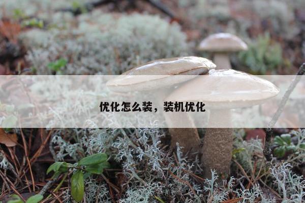优化怎么装，装机优化