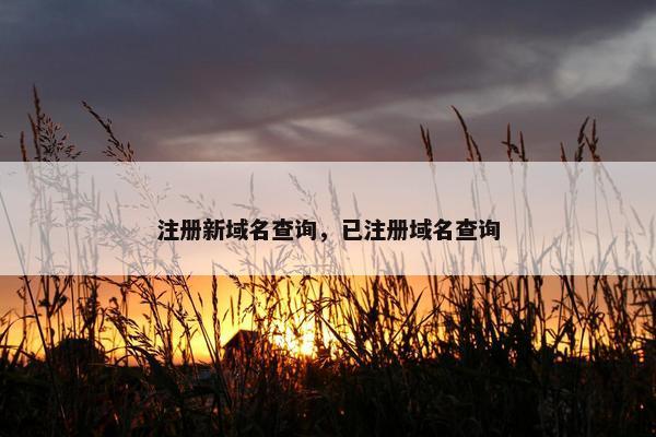 注册新域名查询，已注册域名查询