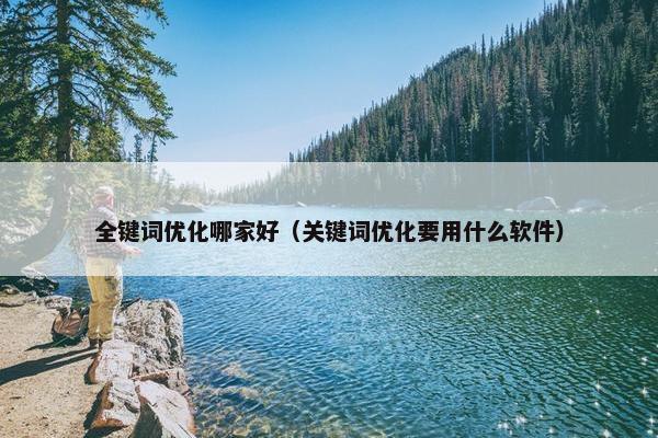 全键词优化哪家好（关键词优化要用什么软件）