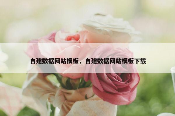 自建数据网站模板，自建数据网站模板下载