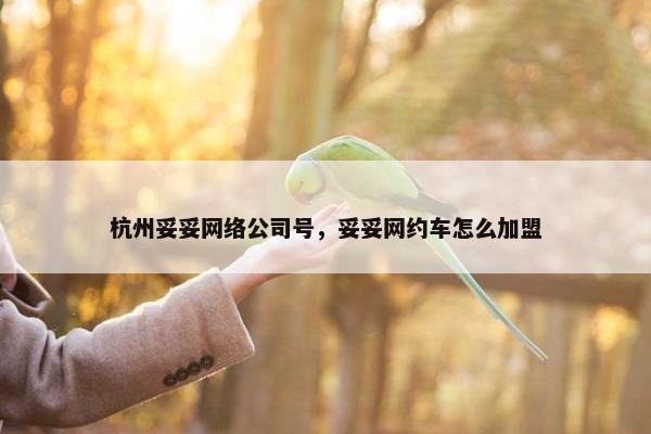 杭州妥妥网络公司号，妥妥网约车怎么加盟