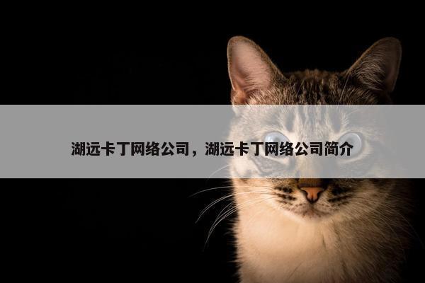 湖远卡丁网络公司，湖远卡丁网络公司简介
