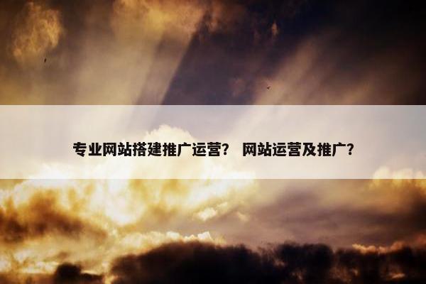 专业网站搭建推广运营？ 网站运营及推广？