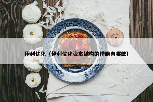 伊利优化（伊利优化资本结构的措施有哪些）