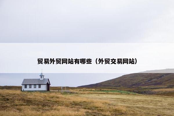 贸易外贸网站有哪些（外贸交易网站）