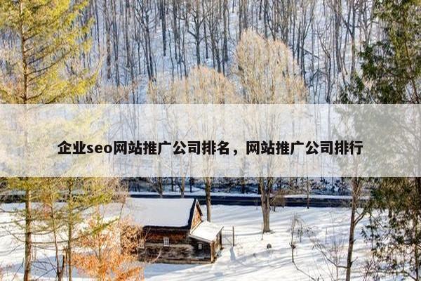 企业seo网站推广公司排名，网站推广公司排行