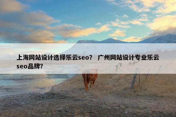 上海网站设计选择乐云seo？ 广州网站设计专业乐云seo品牌？