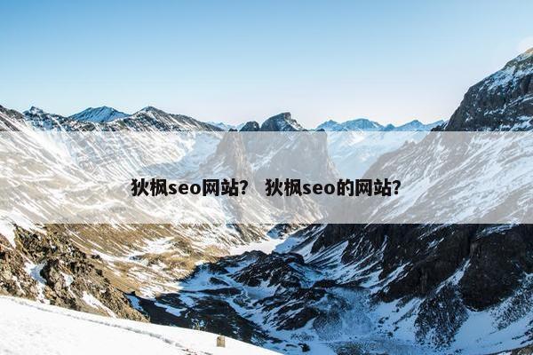 狄枫seo网站？ 狄枫seo的网站？