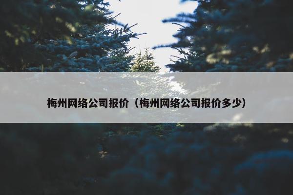 梅州网络公司报价（梅州网络公司报价多少）