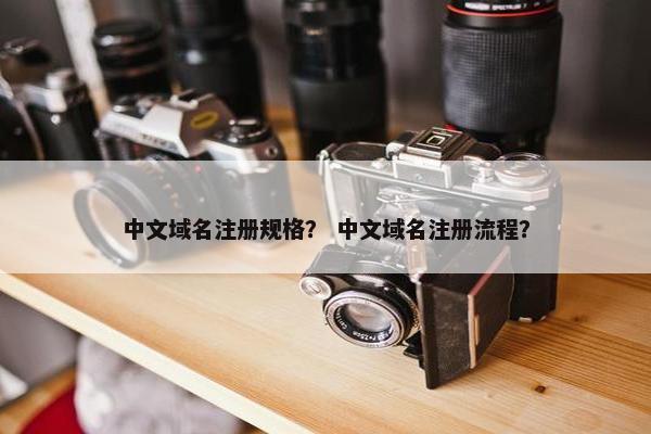 中文域名注册规格？ 中文域名注册流程？