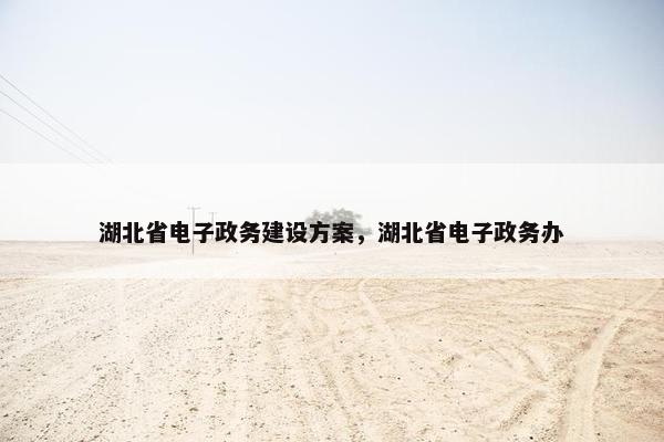 湖北省电子政务建设方案，湖北省电子政务办
