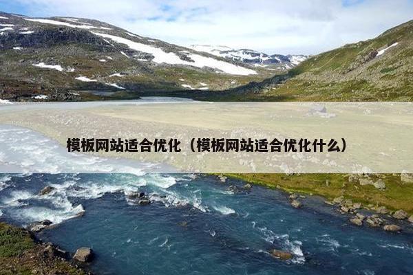 模板网站适合优化（模板网站适合优化什么）