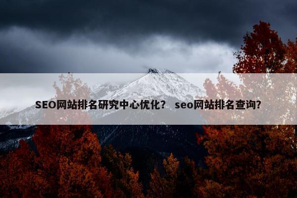 SEO网站排名研究中心优化？ seo网站排名查询？