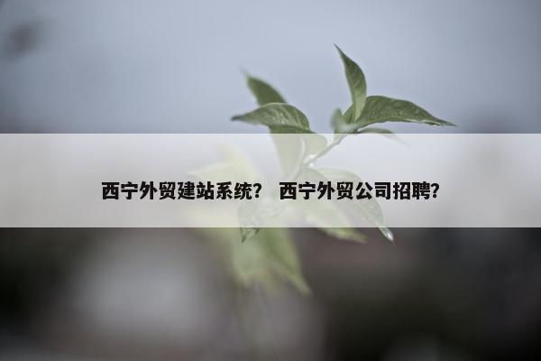 西宁外贸建站系统？ 西宁外贸公司招聘？