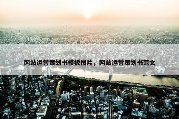 网站运营策划书模板图片，网站运营策划书范文