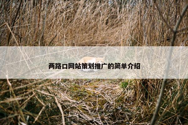 两路口网站策划推广的简单介绍