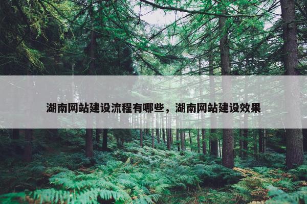 湖南网站建设流程有哪些，湖南网站建设效果
