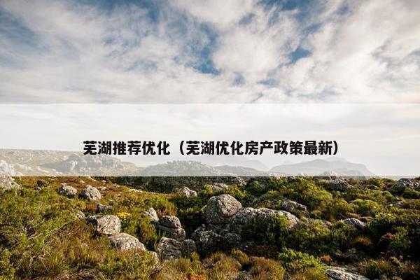 芜湖推荐优化（芜湖优化房产政策最新）