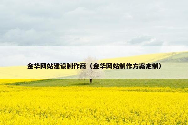 金华网站建设制作商（金华网站制作方案定制）