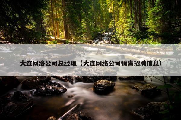 大连网络公司总经理（大连网络公司销售招聘信息）