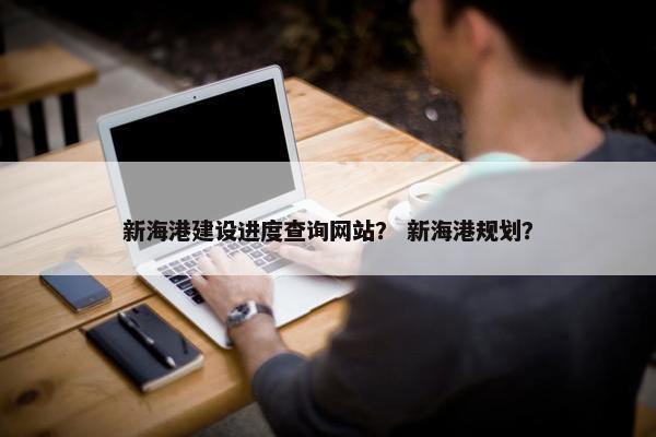 新海港建设进度查询网站？ 新海港规划？
