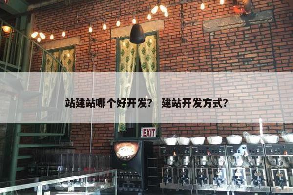 站建站哪个好开发？ 建站开发方式？