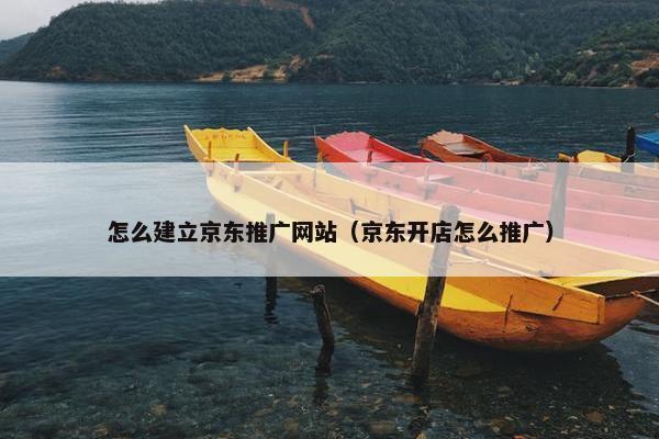 怎么建立京东推广网站（京东开店怎么推广）