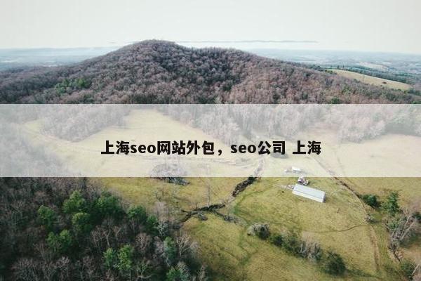 上海seo网站外包，seo公司 上海