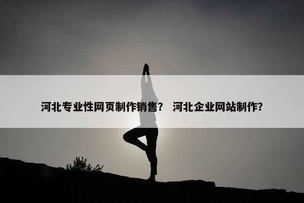 河北专业性网页制作销售？ 河北企业网站制作？