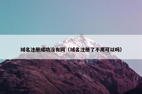 域名注册成功没有网（域名注册了不用可以吗）