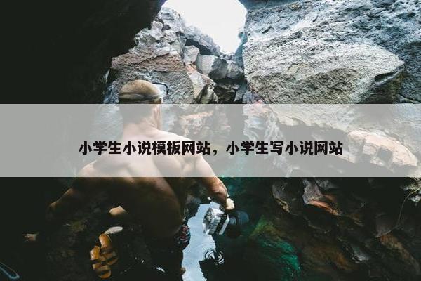小学生小说模板网站，小学生写小说网站