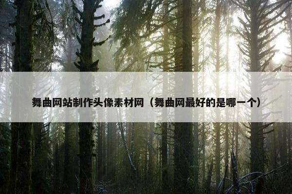舞曲网站制作头像素材网（舞曲网最好的是哪一个）