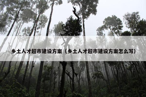 乡土人才超市建设方案（乡土人才超市建设方案怎么写）