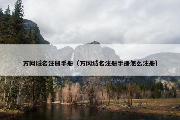 万网域名注册手册（万网域名注册手册怎么注册）