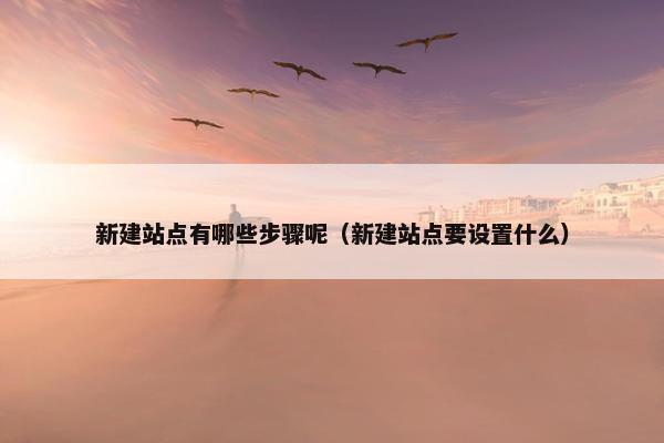 新建站点有哪些步骤呢（新建站点要设置什么）