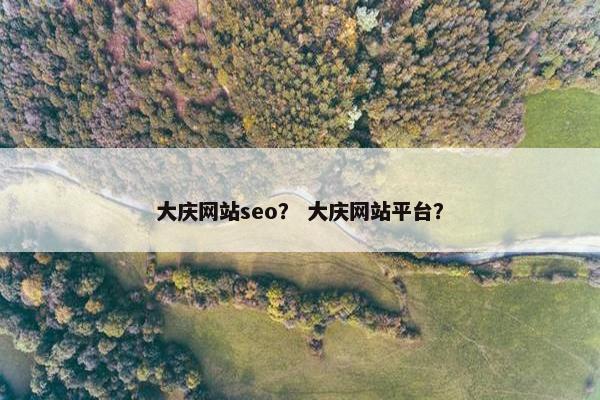 大庆网站seo？ 大庆网站平台？