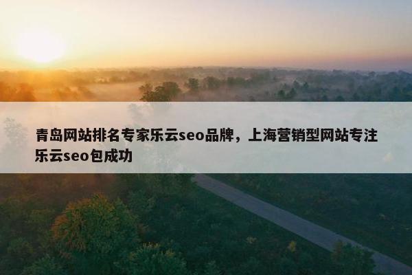 青岛网站排名专家乐云seo品牌，上海营销型网站专注乐云seo包成功