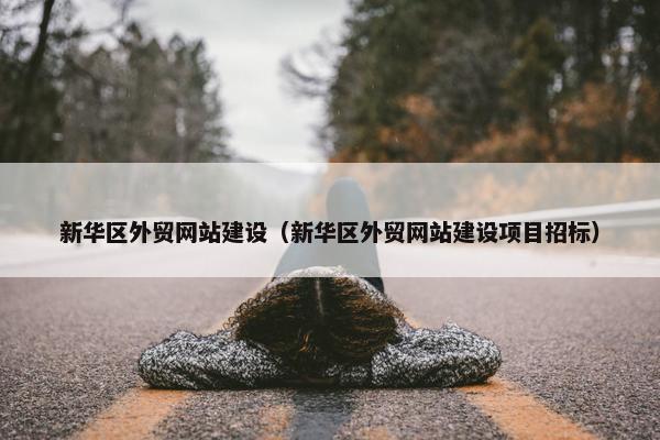 新华区外贸网站建设（新华区外贸网站建设项目招标）