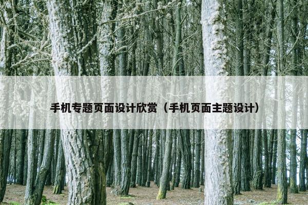 手机专题页面设计欣赏（手机页面主题设计）