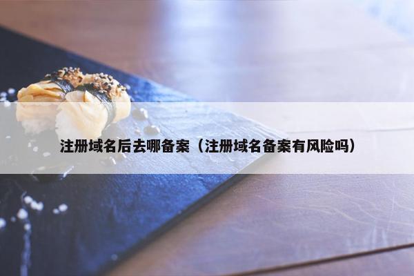 注册域名后去哪备案（注册域名备案有风险吗）