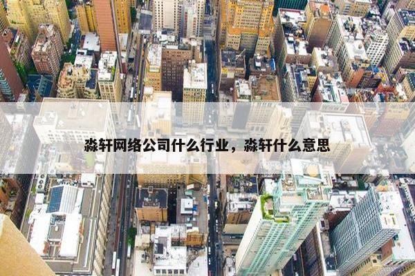 淼轩网络公司什么行业，淼轩什么意思