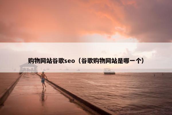 购物网站谷歌seo（谷歌购物网站是哪一个）