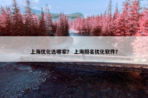上海优化选哪家？ 上海排名优化软件？