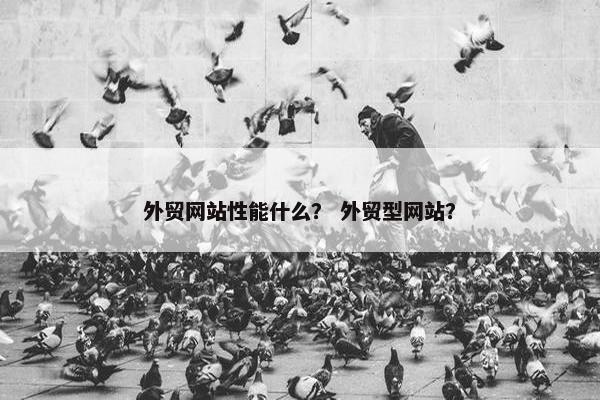 外贸网站性能什么？ 外贸型网站？