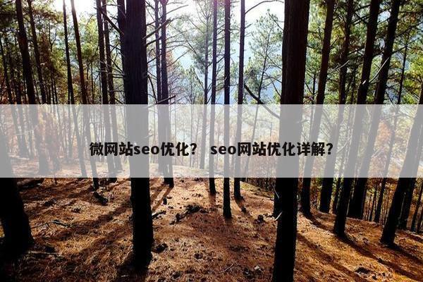 微网站seo优化？ seo网站优化详解？