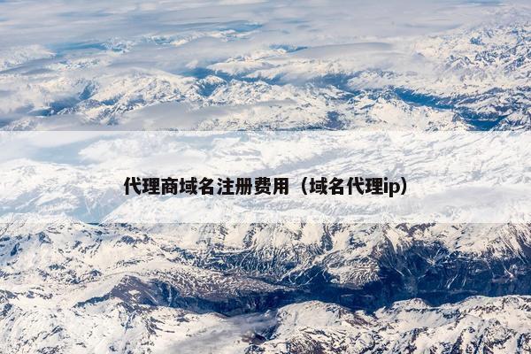 代理商域名注册费用（域名代理ip）