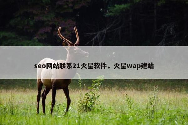 seo网站联系21火星软件，火星wap建站