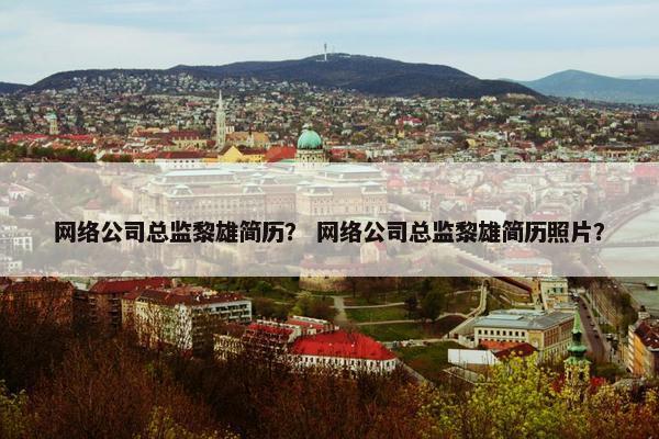 网络公司总监黎雄简历？ 网络公司总监黎雄简历照片？