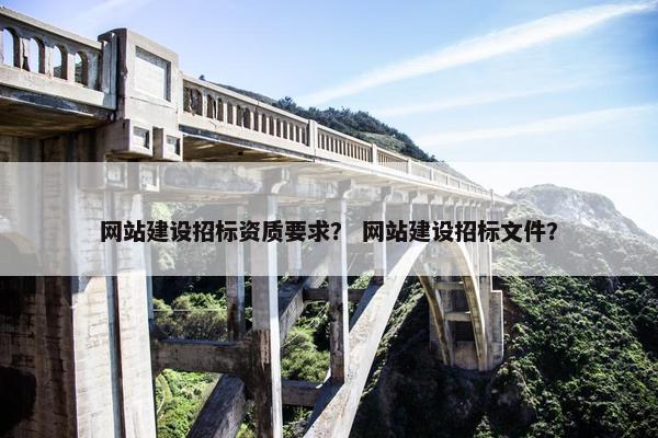 网站建设招标资质要求？ 网站建设招标文件？
