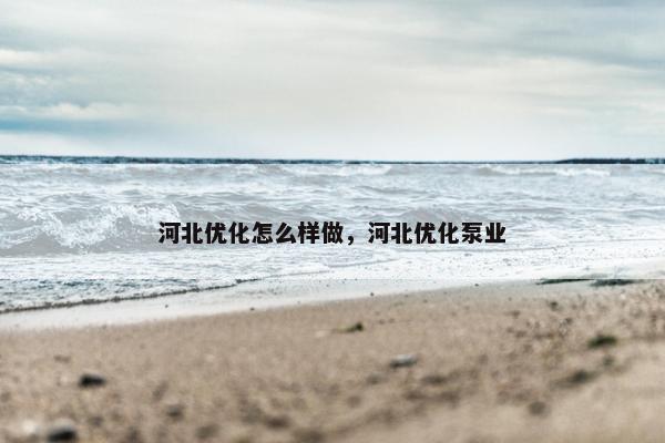 河北优化怎么样做，河北优化泵业